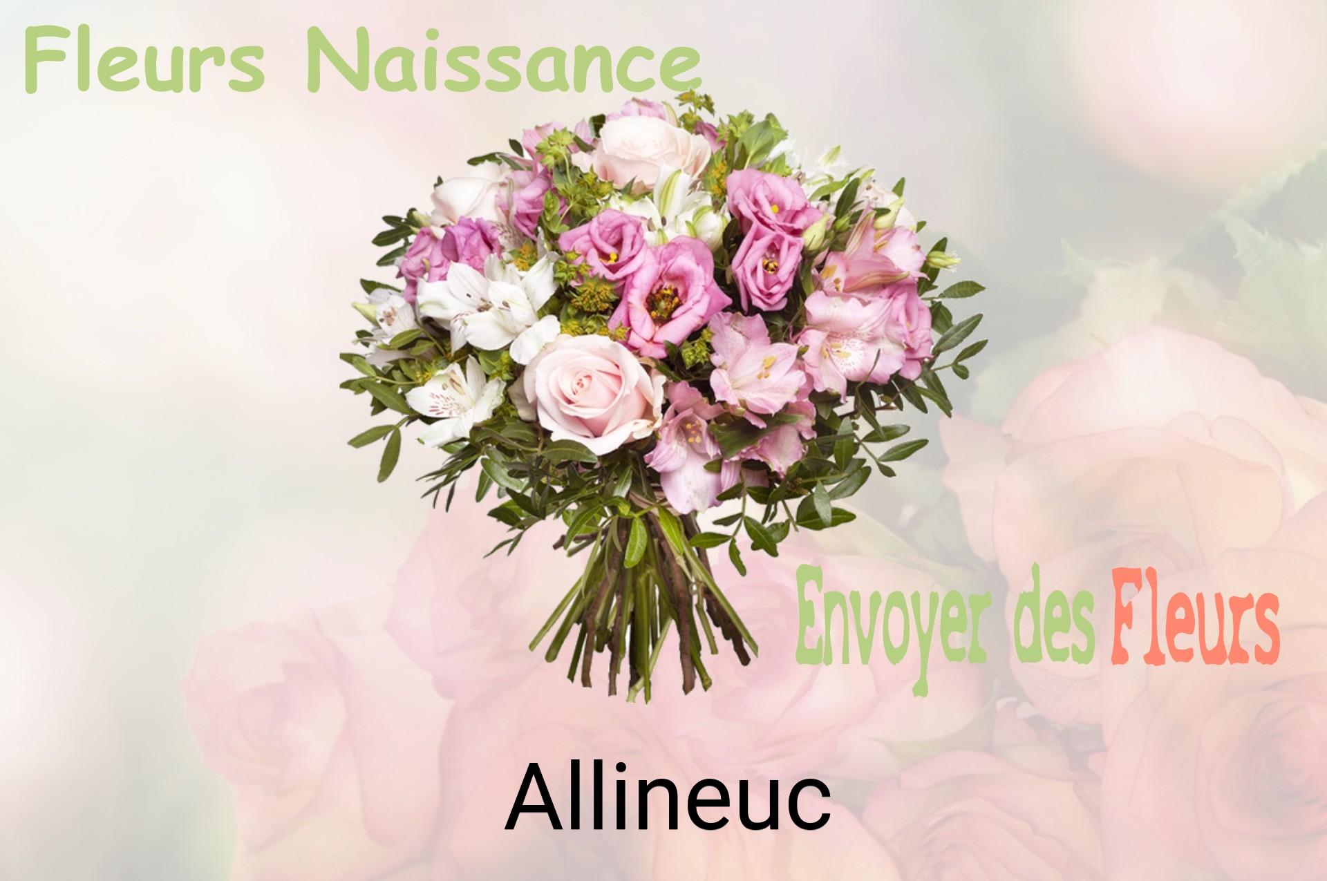 Bouquet de fleurs de naissance livré à Allineuc