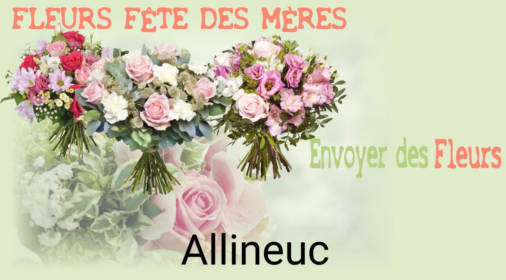 Bouquet de Fête des Mères livré à Allineuc